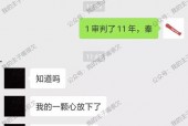 91秦先生国产,国产生态下的创新与突破